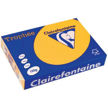 Clairefontaine Trophée Intens, gekleurd papier, A4, 120 g, 250 vel, zonnebloemgeel