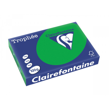 Clairefontaine Trophée Intens, gekleurd papier, A4, 120 g, 250 vel, bijartgroen