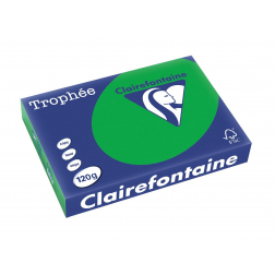 Clairefontaine Trophée Intens, gekleurd papier, A4, 120 g, 250 vel, bijartgroen