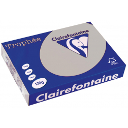 Clairefontaine Trophée Pastel, gekleurd papier, A4, 120 g, 250 vel, lichtgrijs